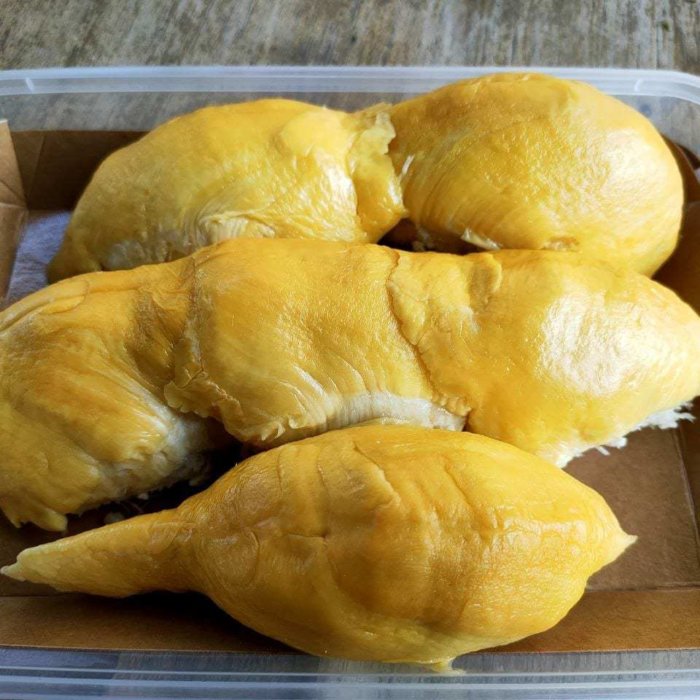 D13 Durian